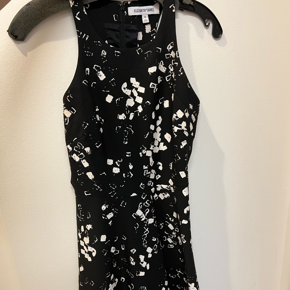 Elizabeth and James short flared dress